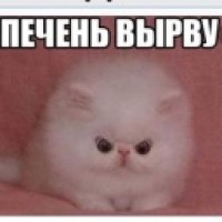 mamkaeddie21