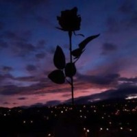 ella-rent