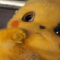 yul223