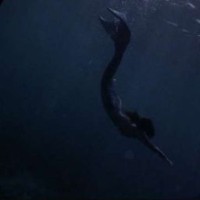 oceansiia