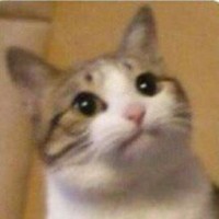 userusergagaga