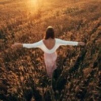 kreed-story-inst