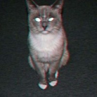 lizywood118