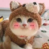 animehnisa1111