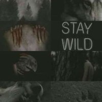 wofl