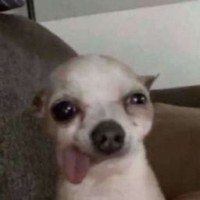 pressurexbby