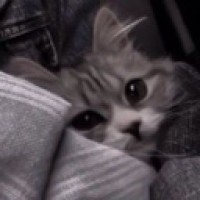 user51072971
