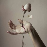 mayli-ttlefangirl