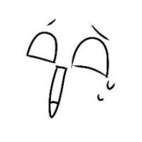 kofili