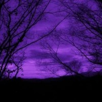 user09929933