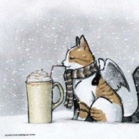 vuxyxoli