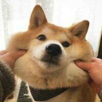 yki-chan