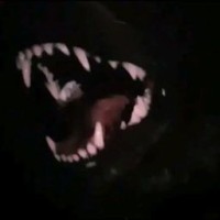 stormgrr