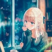 user04291441
