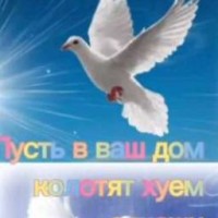 stiigmb-w