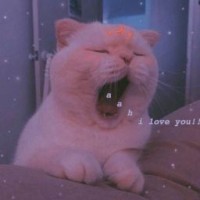 you-are-my-heart