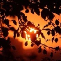 dreamyowl11
