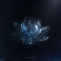 uanai-ii