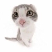 misuri69