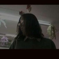 kristi-vas