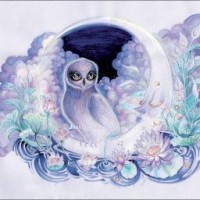 holymoonkin