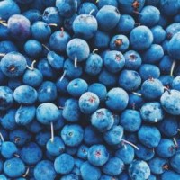 matilque