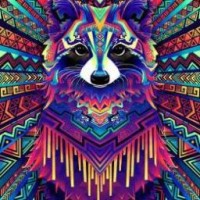 tanuki