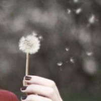 ivika-g