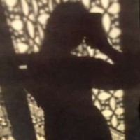xxxwwl