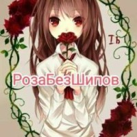 rose-without-thorns