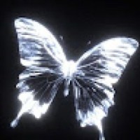 vikatoria88