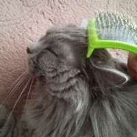 user12110740
