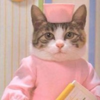 pinkmolecula