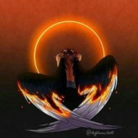 wolfan777