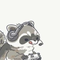 raccoonpolosun