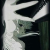 kosatiki