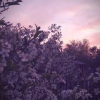 chiara-grace