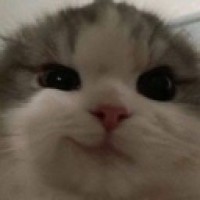 umka-qwq