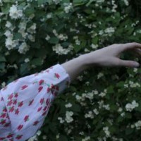 emm-white