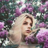 di-vashche