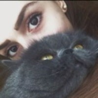 egor-off