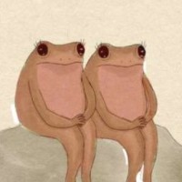 scarlet-frogs