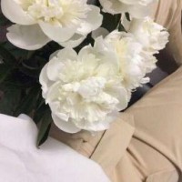 agnko-a