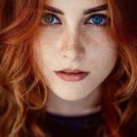 sofi-treis