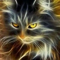 cat-like