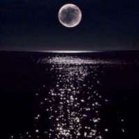 lunna04-19