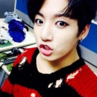 user1133225544