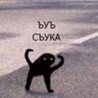 leksy203