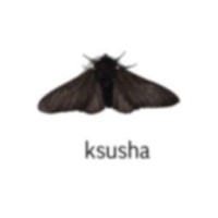 ksushacolodova