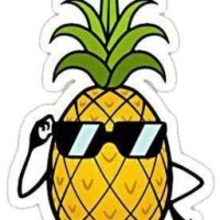 ananas778